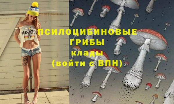 амф Алексеевка