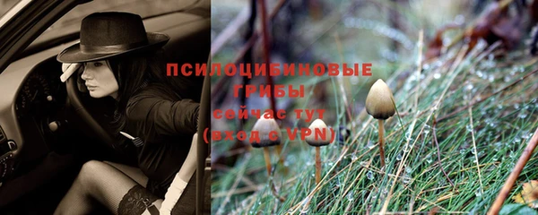 каннабис Алзамай