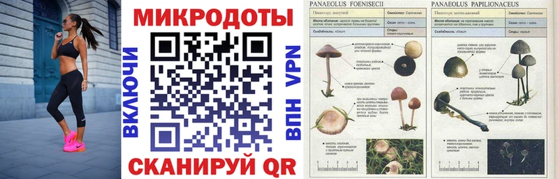 Галлюциногенные грибы Magic Shrooms Гуково